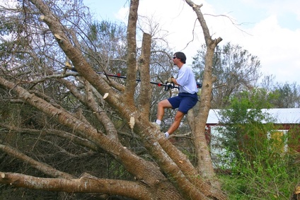 man cutting down tree man cutting down tree