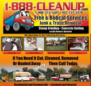 Orlando_tree_service Orlando_tree_service
