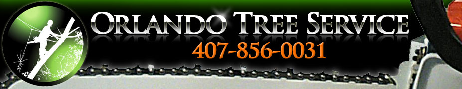 Tree serviceOrlando